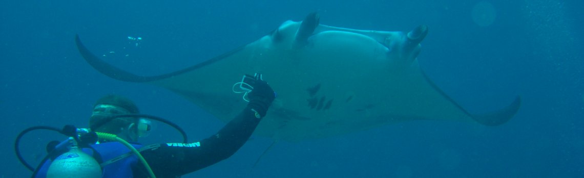 Avventura e scoperta del Pianeta Mare