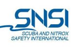 Logo SNSI